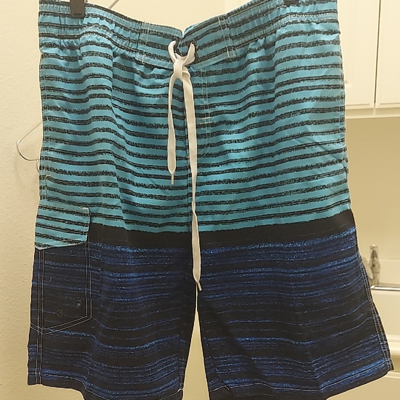 Source Unknown Men's Aqua and Navy Striped Board Shorts - Picture 1 of 7